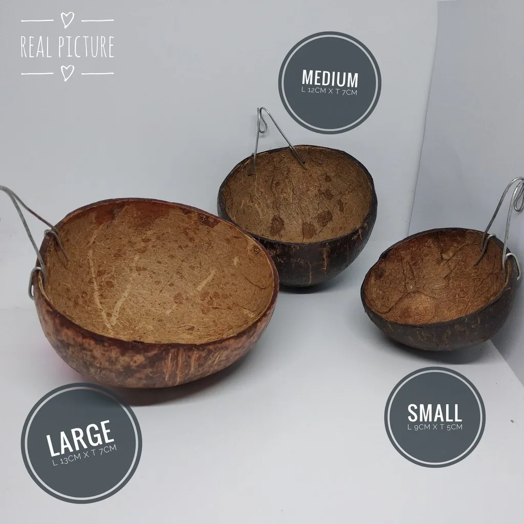 Sleeping pouch tempat tidur Batok Kelapa asli untuk sugar glider tupai terbang hamster & hewan lain
