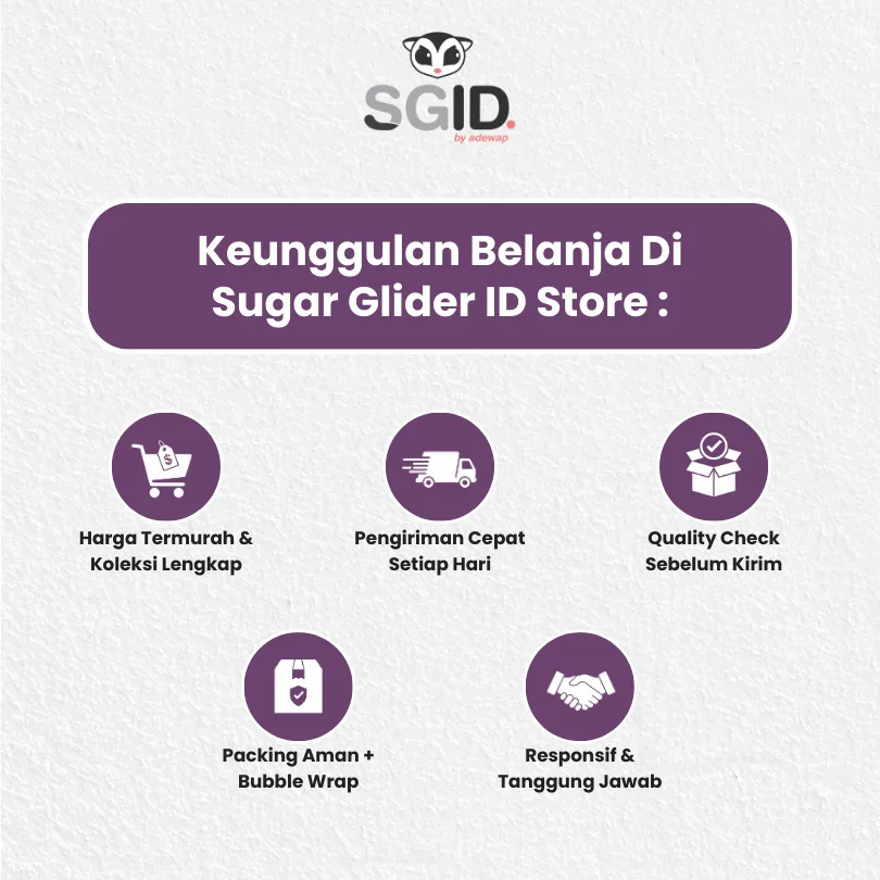 ADEWAP GLIDER Frozen Food Sweet Potato  Meatball Glider Chicken For Sugar Glider