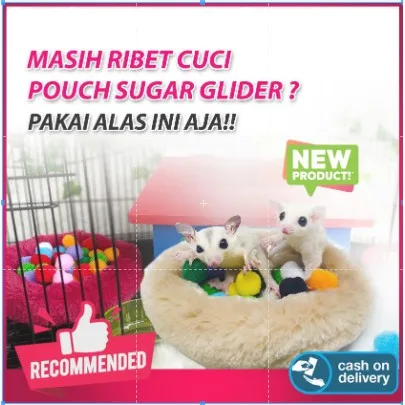 SUGAR GLIDER STAR Sleeping Pouch Kasmir Alas Tempat Tidur Sugar Glider