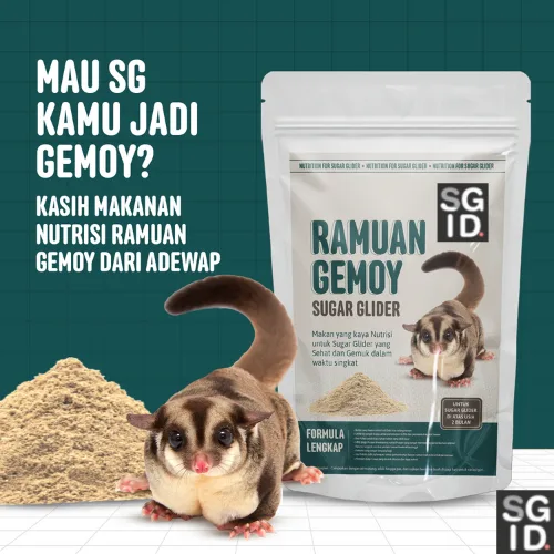 ADEWAP GLIDER Ramuan Gemoy Protein Premix Formula dan Nutrisi Komplit Sugar Glider
