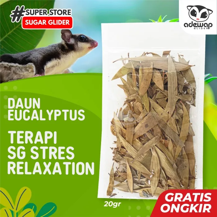 ADEWAP GLIDER Daun Eucalyptus Penghilang Stress Sugar Glider Daun Kering Penghilang Stress Hewan Peliharaan