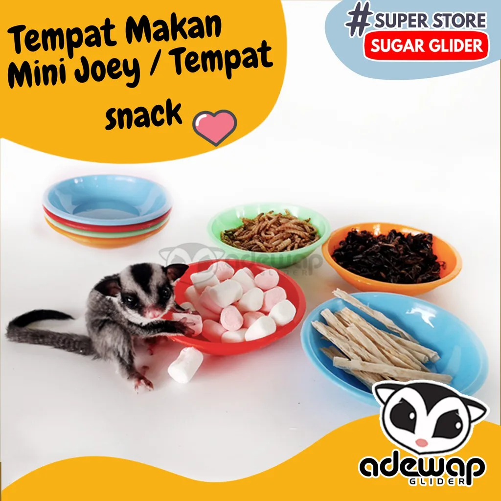 ADEWAP GLIDER Tempat Makan Joey Piring Camilan Sugar Glider