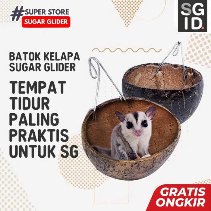 Sleeping pouch tempat tidur Batok Kelapa asli untuk sugar glider tupai terbang hamster & hewan lain