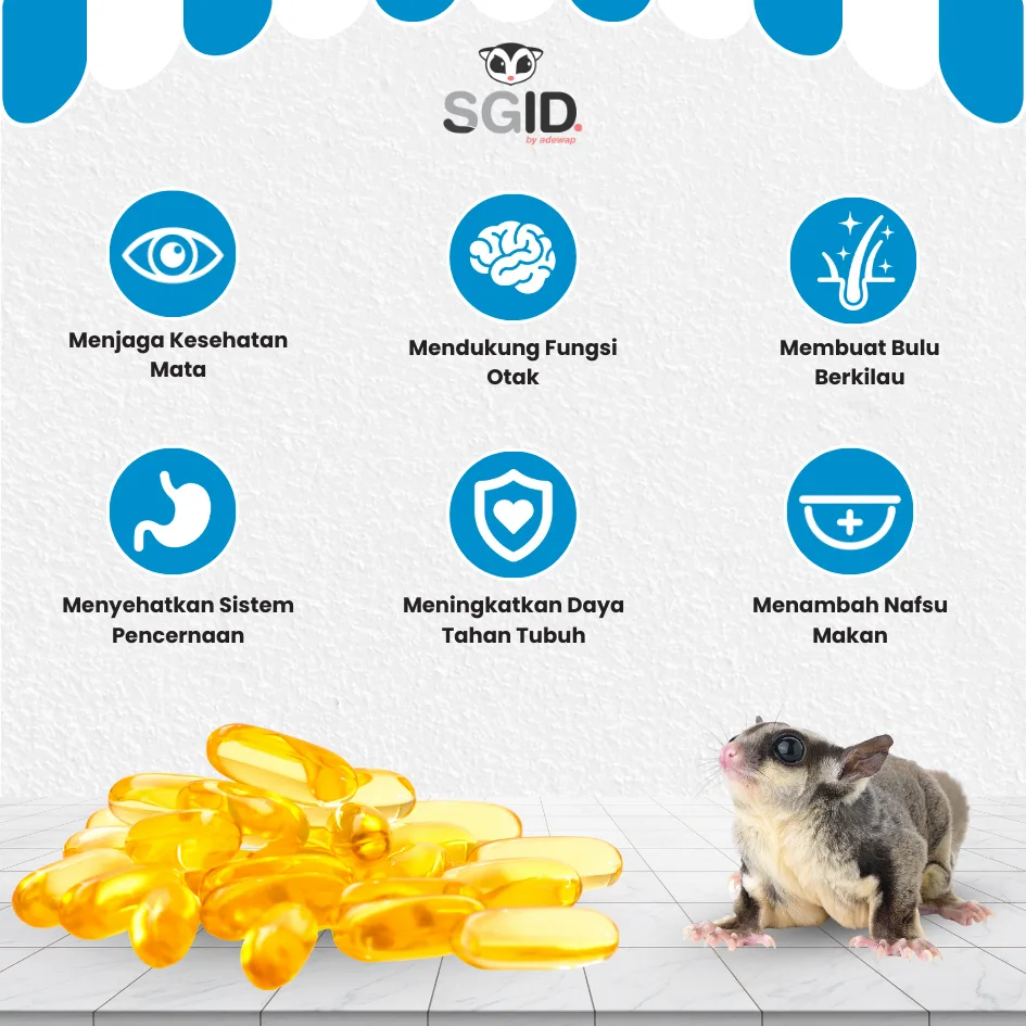 ADEWAP GLIDER Minyak Ikan Omega 3 Sugar Glider Fish Oil 40 Butir – Minyak Ikan  Suplemen Bulu & Kesehatan