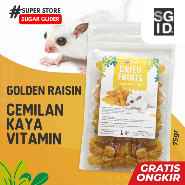 Golden Raisin Dried Fruit / Buah Kismis Camilan Sugar Glider Hamster