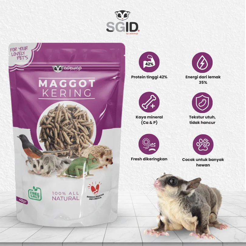 Maggot BSF Kering camilan Sugar Glider landakmini hamster arwana PET FOOD / Maggot BSF 40 gram