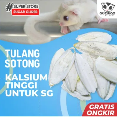 ADEWAP GLIDER Kalsium Tulang Sotong Kering Asinan Gigitan Sugar Glider