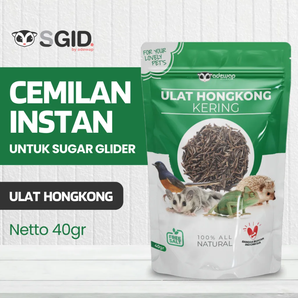 Ulat Hongkong Kering Pakan Sugar Glider Burung Tupai Terbang Landak mini Arwana