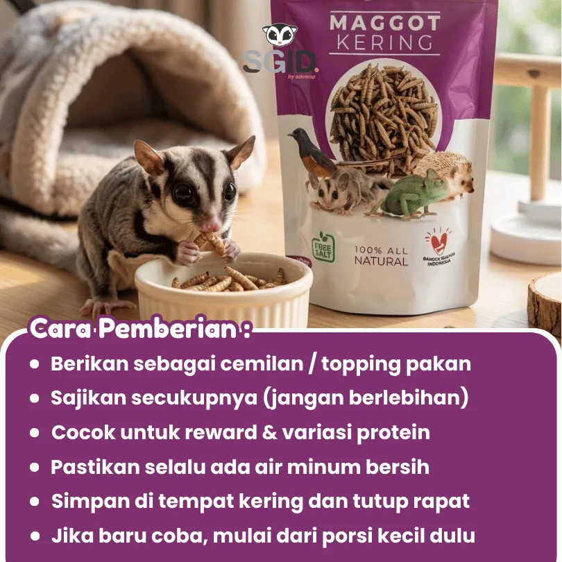 Maggot BSF Kering camilan Sugar Glider landakmini hamster arwana PET FOOD / Maggot BSF 40 gram