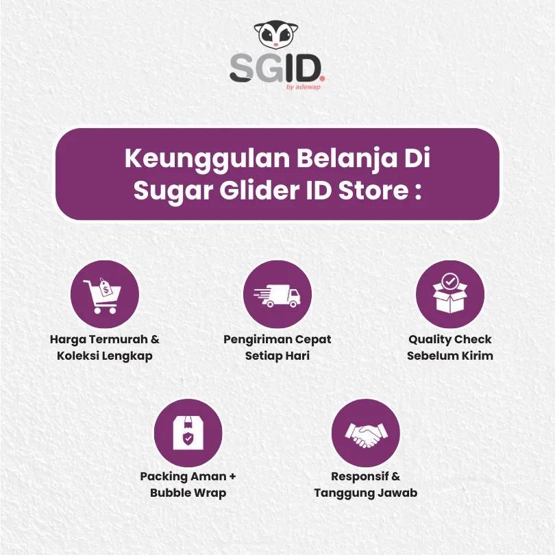 Maggot BSF Kering camilan Sugar Glider landakmini hamster arwana PET FOOD / Maggot BSF 40 gram