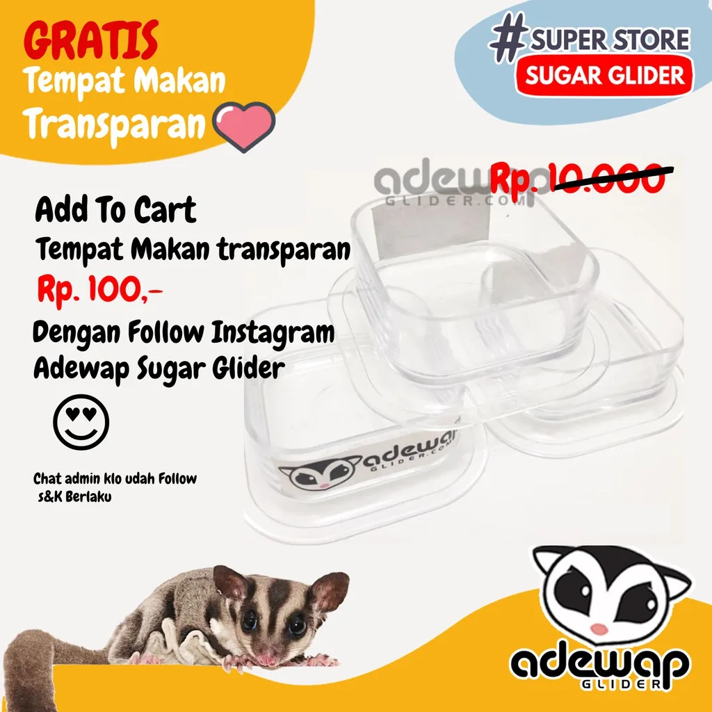 ADEWAP GLIDER Tempat Makan Bening Sugar Glider
