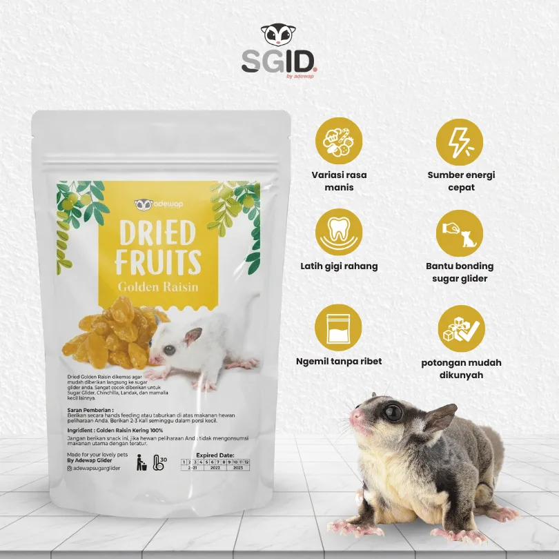 Golden Raisin Dried Fruit / Buah Kismis Camilan Sugar Glider Hamster