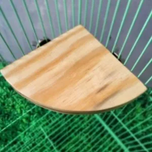ADEWAP GLIDER Tangkringan Standing Sudut Kandang Sugar Glider