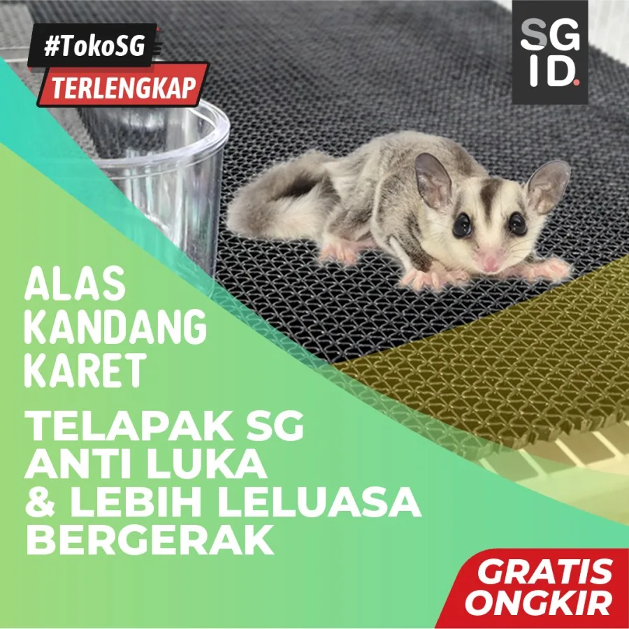 ADEWAP GLIDER Alas Kandang Tatakan Kotoran Sugar Glider