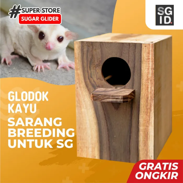 ADEWAP GLIDER Glodok Kayu Tempat Sembunyi Sugar Glider