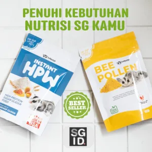 ADEWAP GLIDER Paket Hemat 2 Nutrisi Protein Wajib Sugar Glider