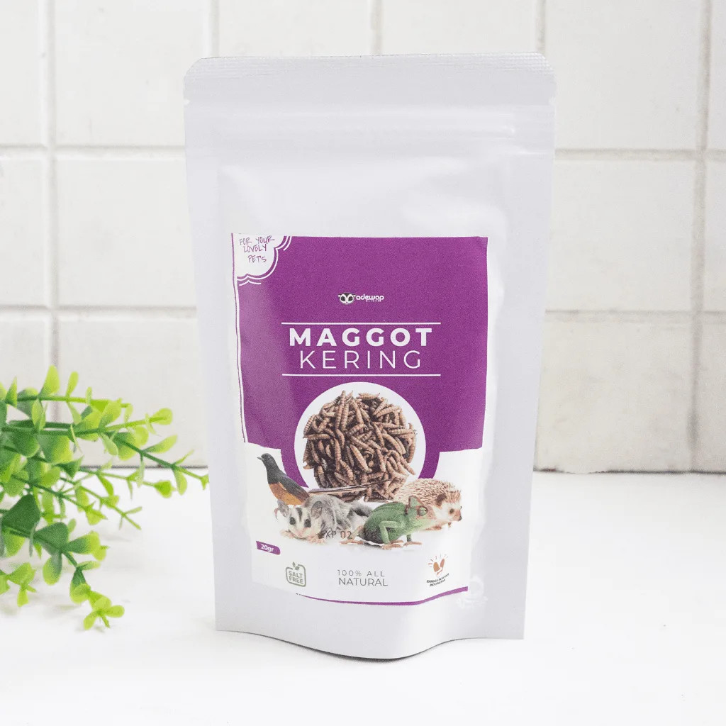 Maggot BSF Kering camilan Sugar Glider landakmini hamster arwana PET FOOD / Maggot BSF 40 gram
