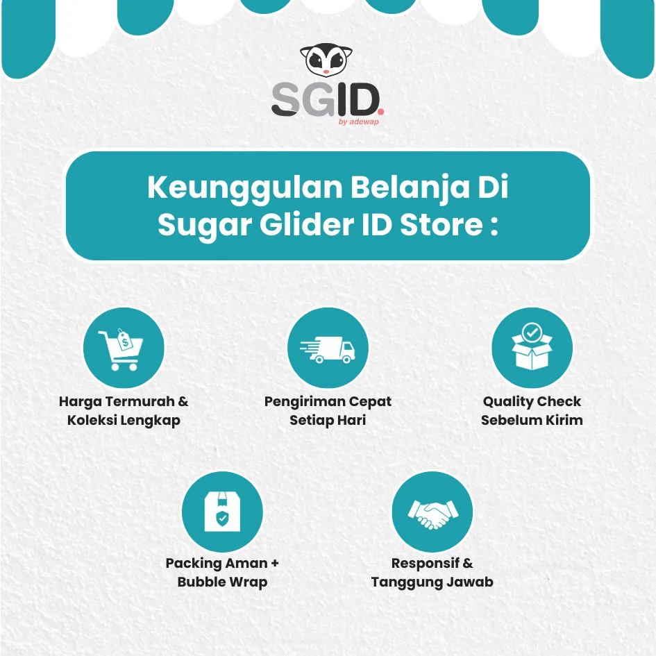 ADEWAP GLIDER Paket Multivitamin Sugar Glider : Vitamin A , Vitamin E & Omega 3