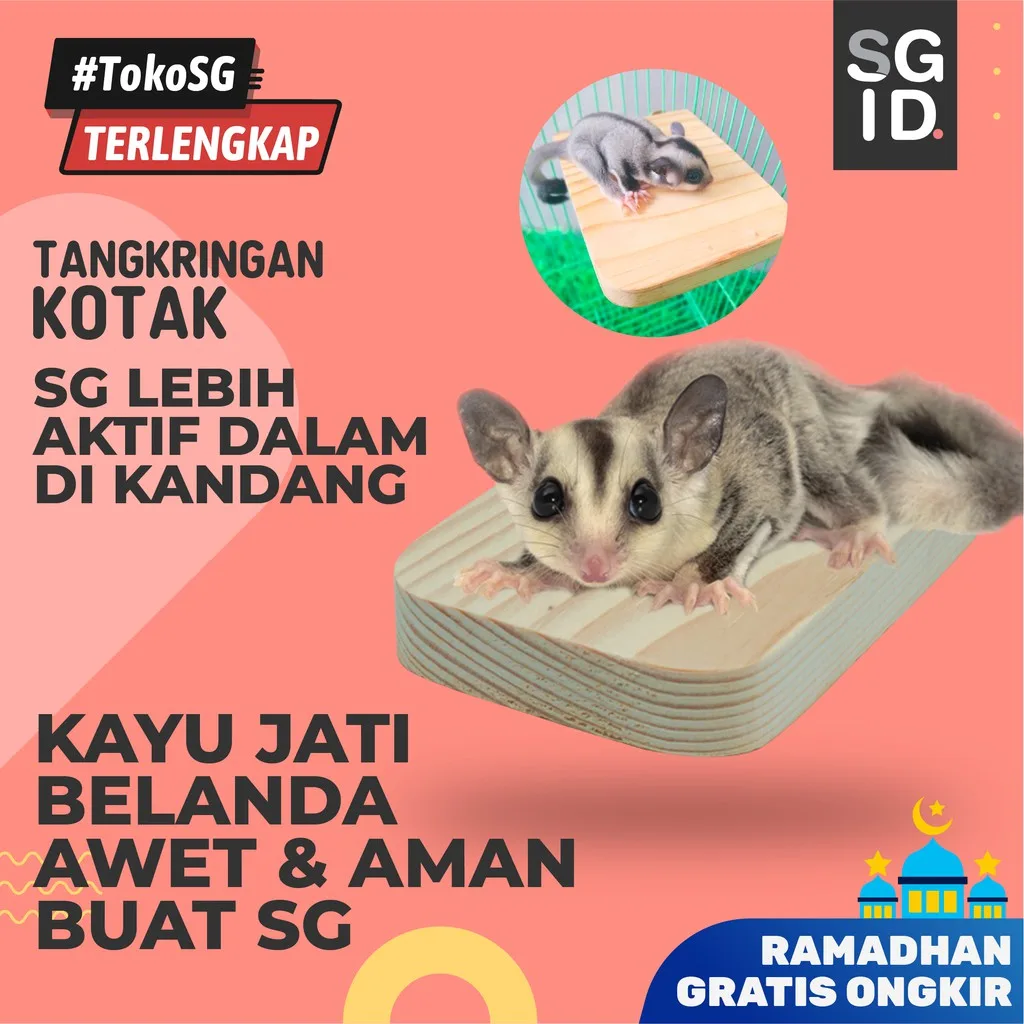 ADEWAP GLIDER Tangkringan Kandang Hewan Kotak Sugar Glider