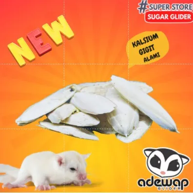 ADEWAP GLIDER Kalsium Tulang Sotong Kering Asinan Gigitan Sugar Glider