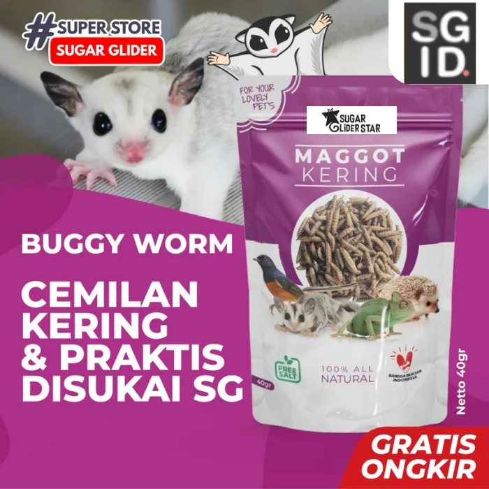 Maggot BSF Kering camilan Sugar Glider landakmini hamster arwana PET FOOD / Maggot BSF 40 gram