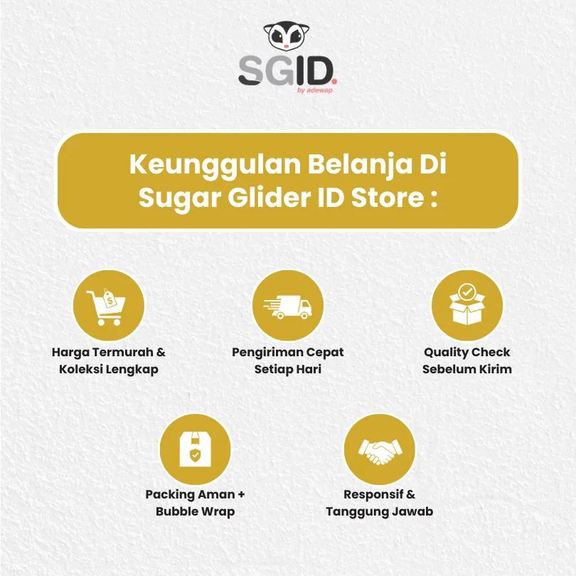 Golden Raisin Dried Fruit / Buah Kismis Camilan Sugar Glider Hamster