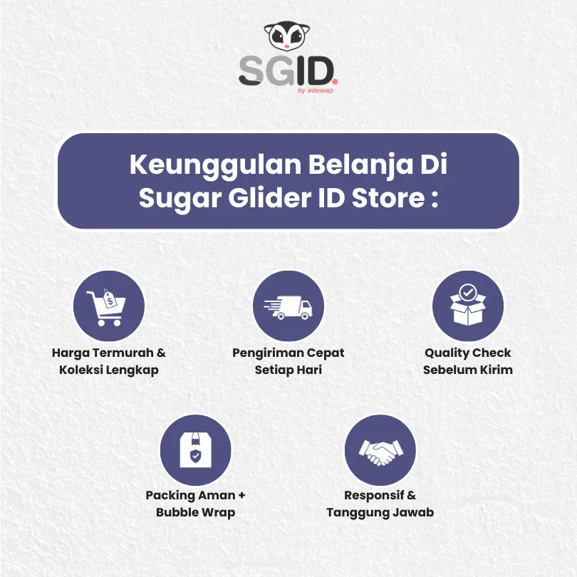 ADEWAP GLIDER Dried Blueberry Fruit Camilan Buah Kering Sugar Glider