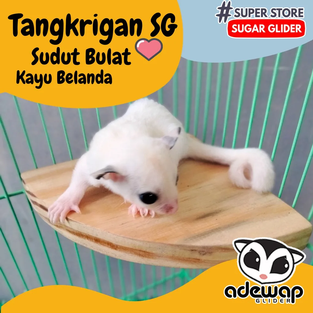 Tangkringan Standing Sudut Kandang Sugar Glider Burung Lovebird Chincila