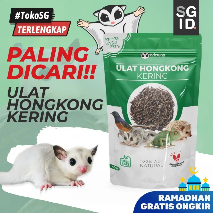 Ulat Hongkong Kering Pakan Sugar Glider Burung Tupai Terbang Landak mini Arwana