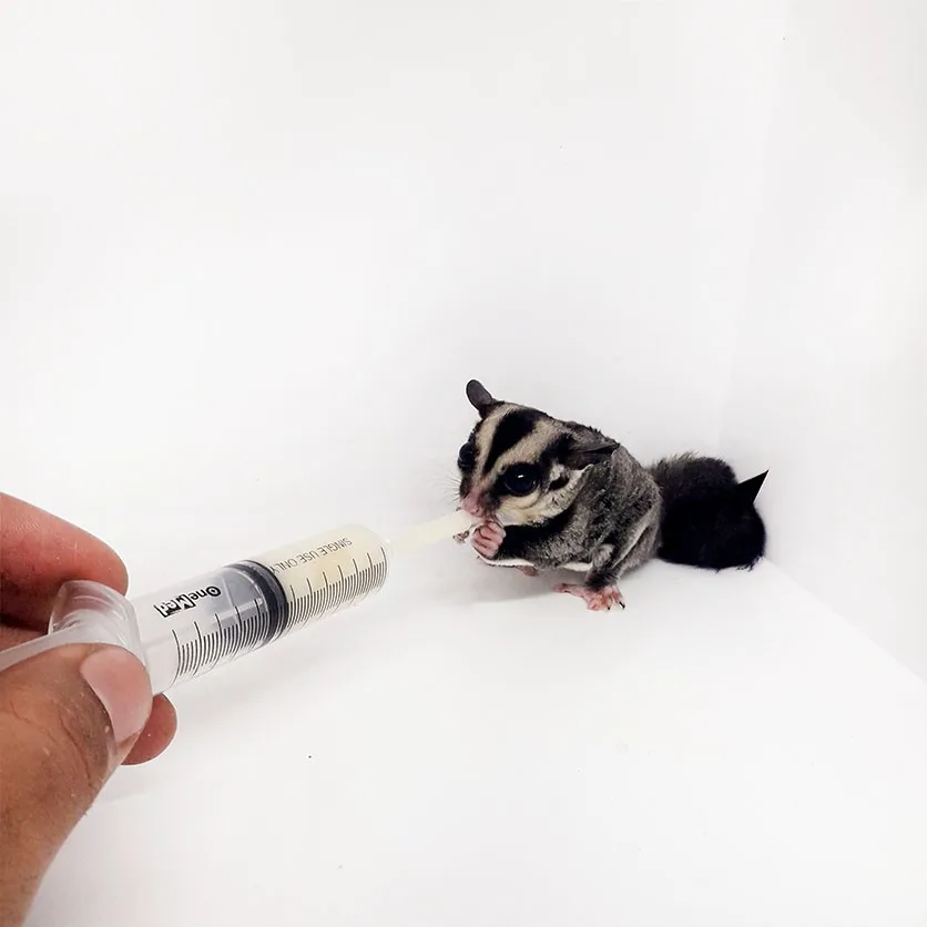 ADEWAP GLIDER Spet Alat Bantu Makan Bayi Sugar Glider