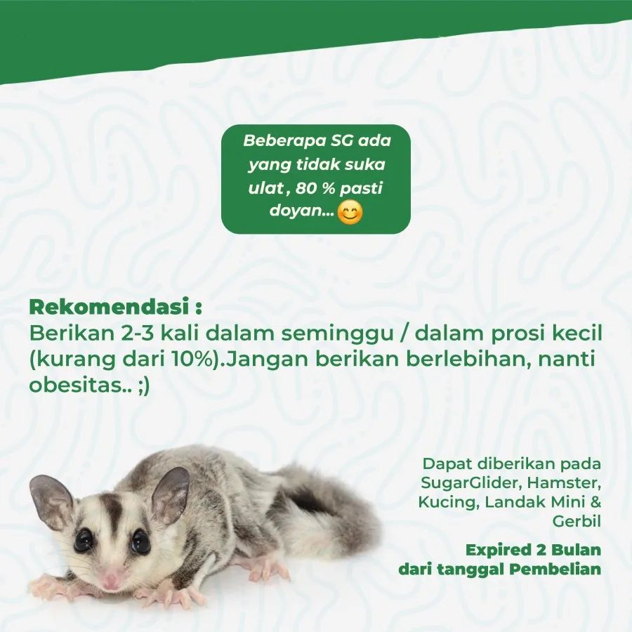 Ulat Hongkong Kering Pakan Sugar Glider Burung Tupai Terbang Landak mini Arwana