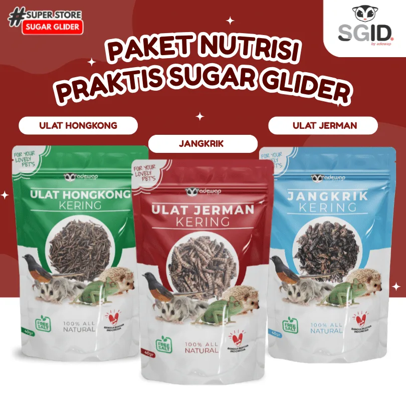 ADEWAP GLIDER Paket Hemat 3 Serangga Nutrisi Protein Sugar Glider
