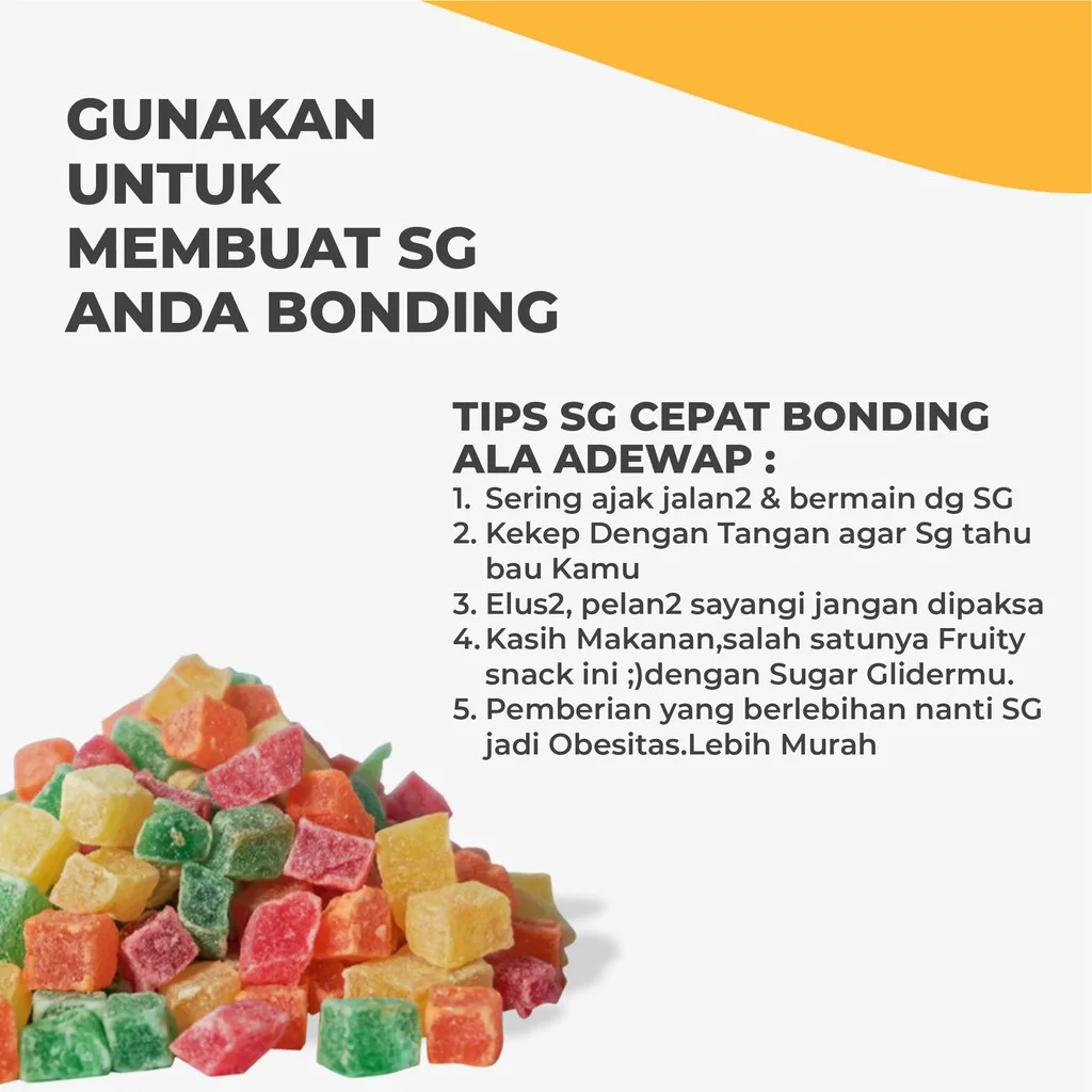 ADEWAP GLIDER Fruity Snack Sugar Glider Buah Kering Cemilan Sugar Glider