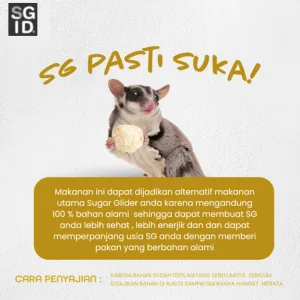 ADEWAP GLIDER Frozen Food Bunga Kol Meatball Glider Chicken For Sugar Glider