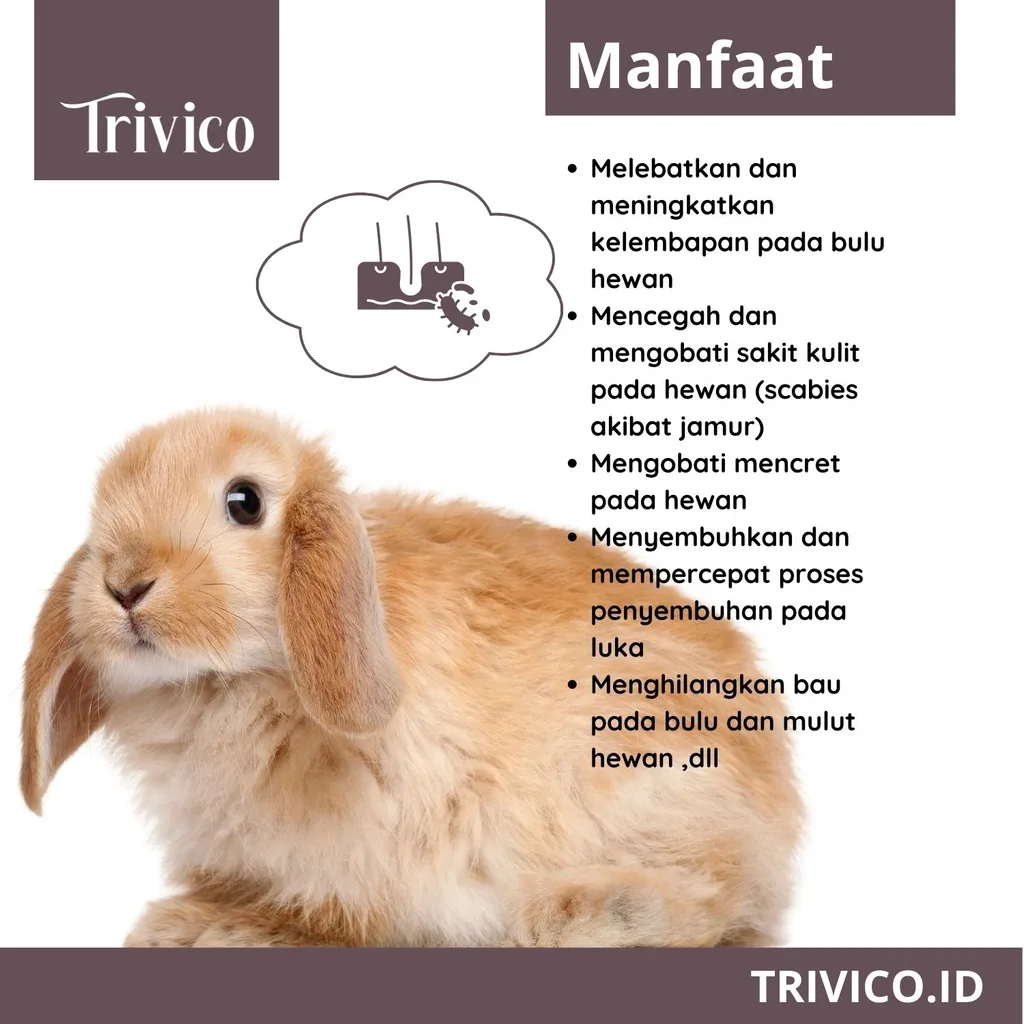 Trivico Minyak VCO Hewan 1 Liter - Obat Ampuh Scabies & Jamur untuk Hewan