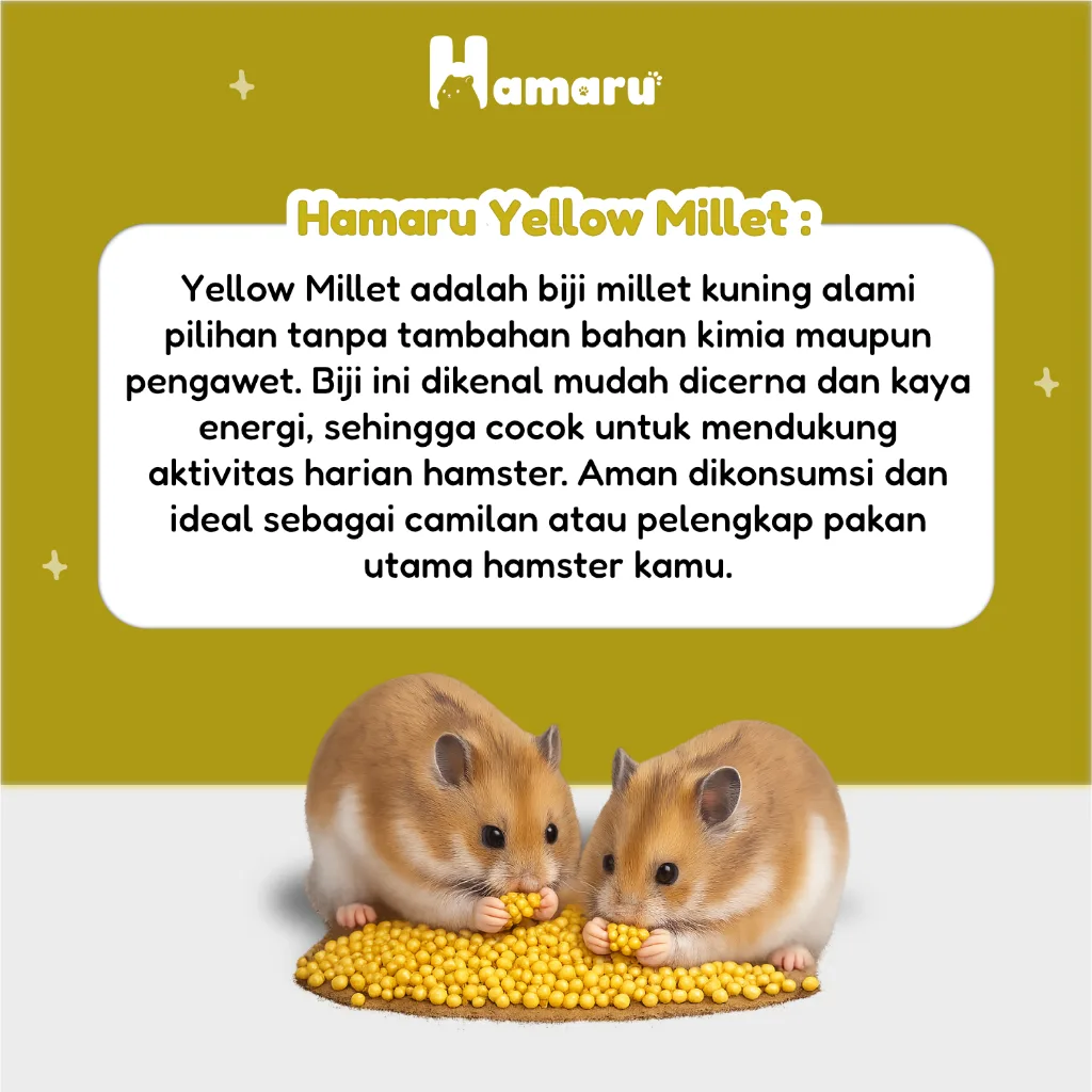 Hamaru Yellow Millet Biji Millet Kuning Alami Pakan Harian Natural Hamster Marmut Kecil - 150g