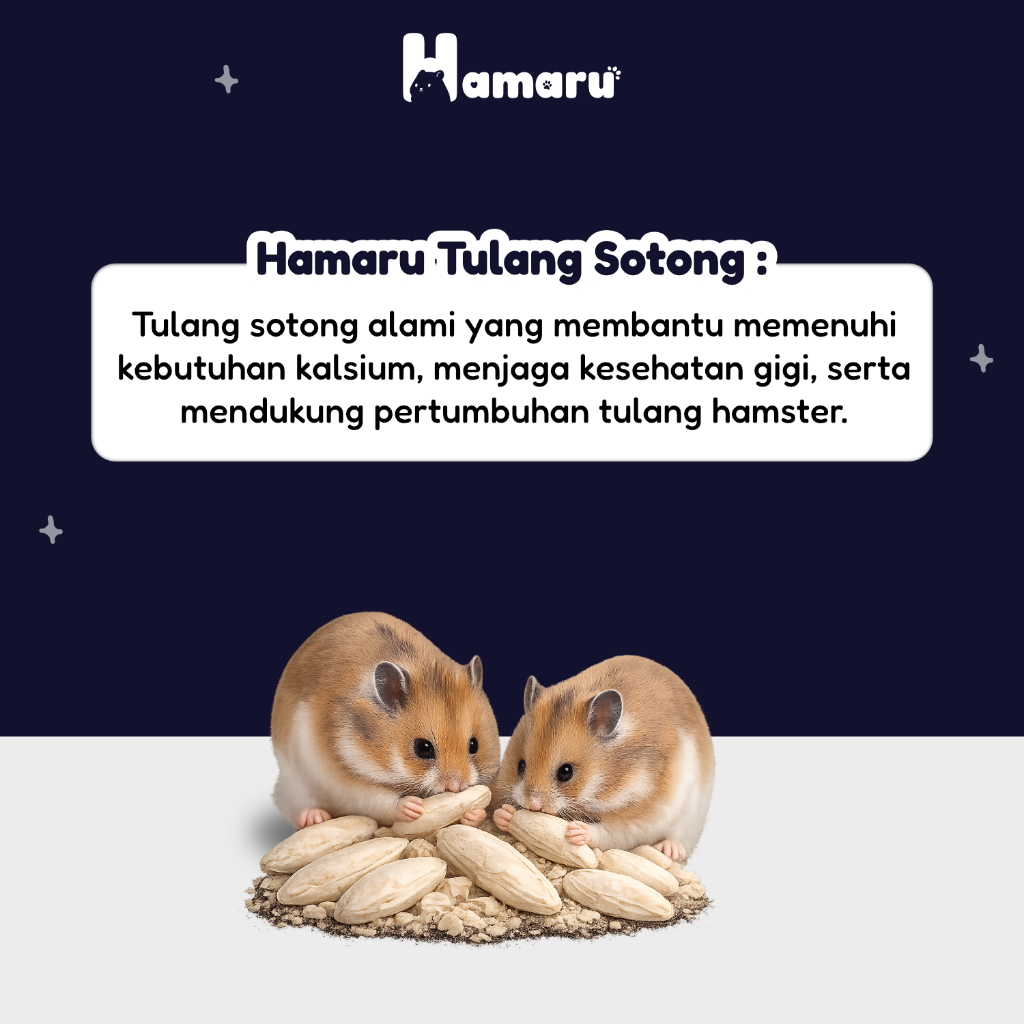 Hamaru Tulang Sotong Gigitan Gnawing Sumber Kalsium Alami Hamster Sugar Glider Marmut Landak Mini