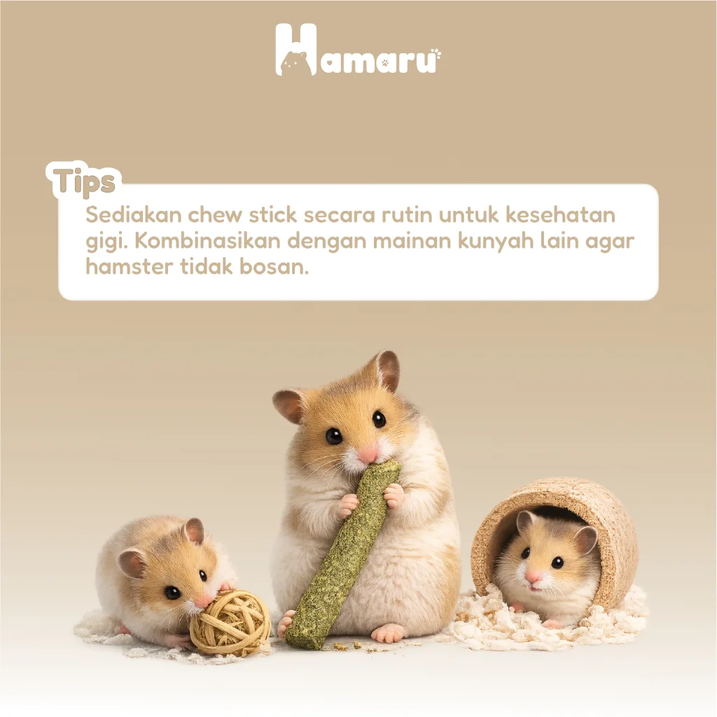 Hamaru Natural Hay Chew Stick Mainan Kunyah Hamster Pengikis Gigi Alami Hamster Kelinci Marmut Hewan Kecil