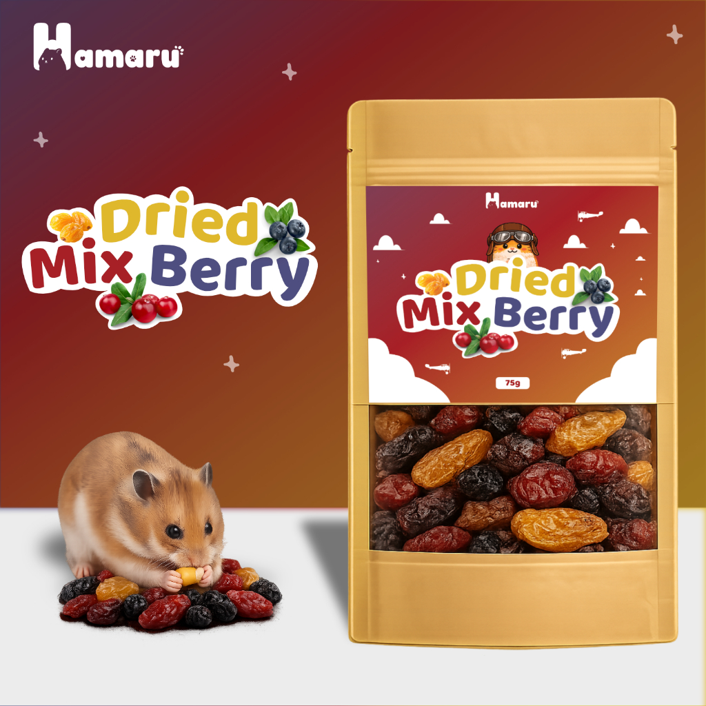 Hamaru Dried Mix Berry Snack Buah Kering Premium Natural Snack Camilan Hamster Marmut Sugar Glider