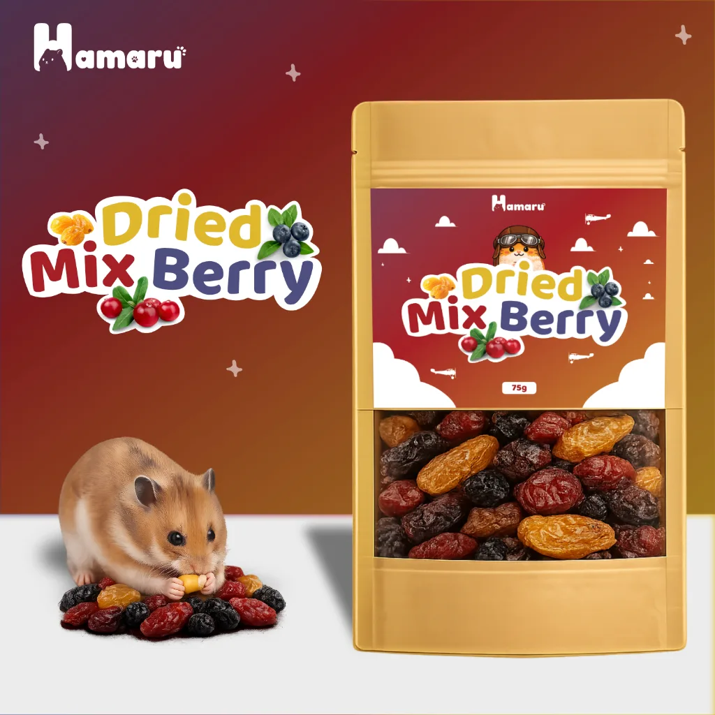 Hamaru Dried Mix Berry Snack Buah Kering Premium Natural Snack Camilan Hamster Marmut Sugar Glider