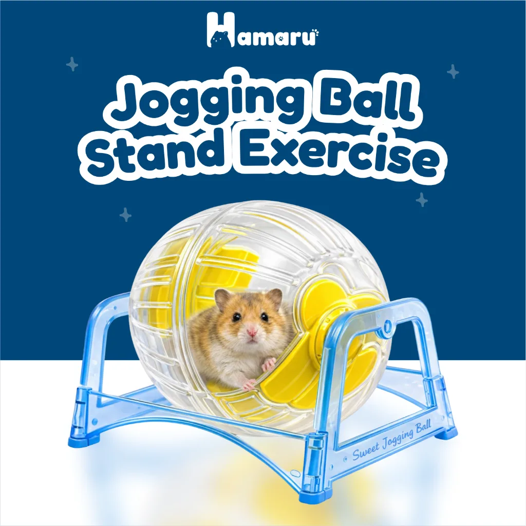 Hamaru Jogging Ball Stand Exercise Bola Lari Hamster Mainan Olahraga Hamster Hewan Kecil