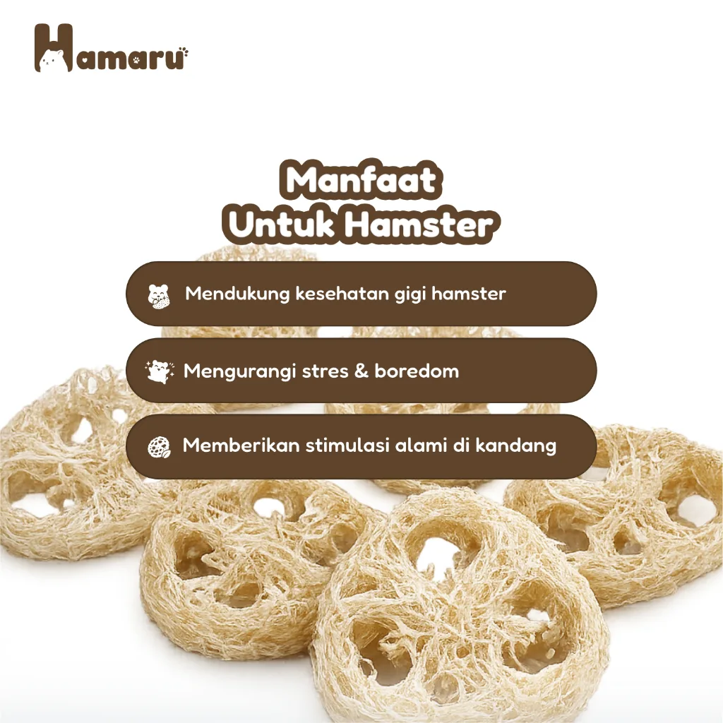 Hamaru Natural Loofah Chew Mainan Gigit Natural Hamster Hewan Kecil