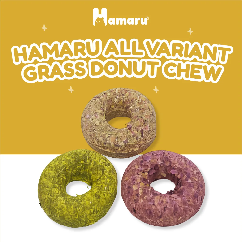 Hamaru Dispenser Jumbo Tempat Makan dan Minum Hamster Kapasitas Besar Transparan Praktis