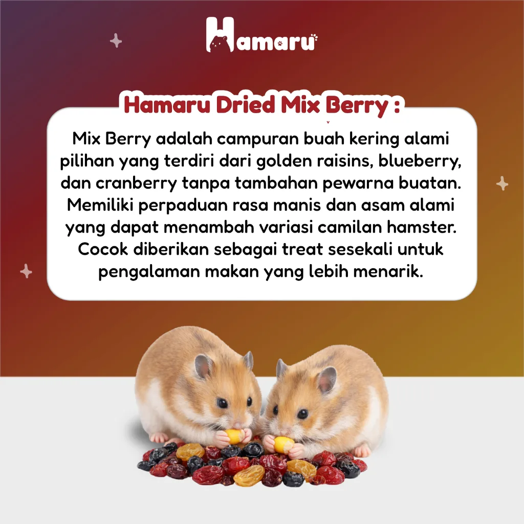 Hamaru Dried Mix Berry Snack Buah Kering Premium Natural Snack Camilan Hamster Marmut Sugar Glider
