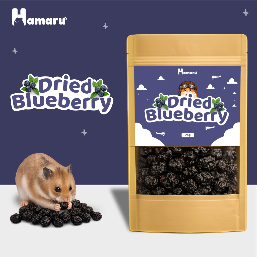 Hamaru Dried Blueberry Kering Snack Camilan Natural Hamster Sugar Glider Alami Tanpa Pengawet - 75g