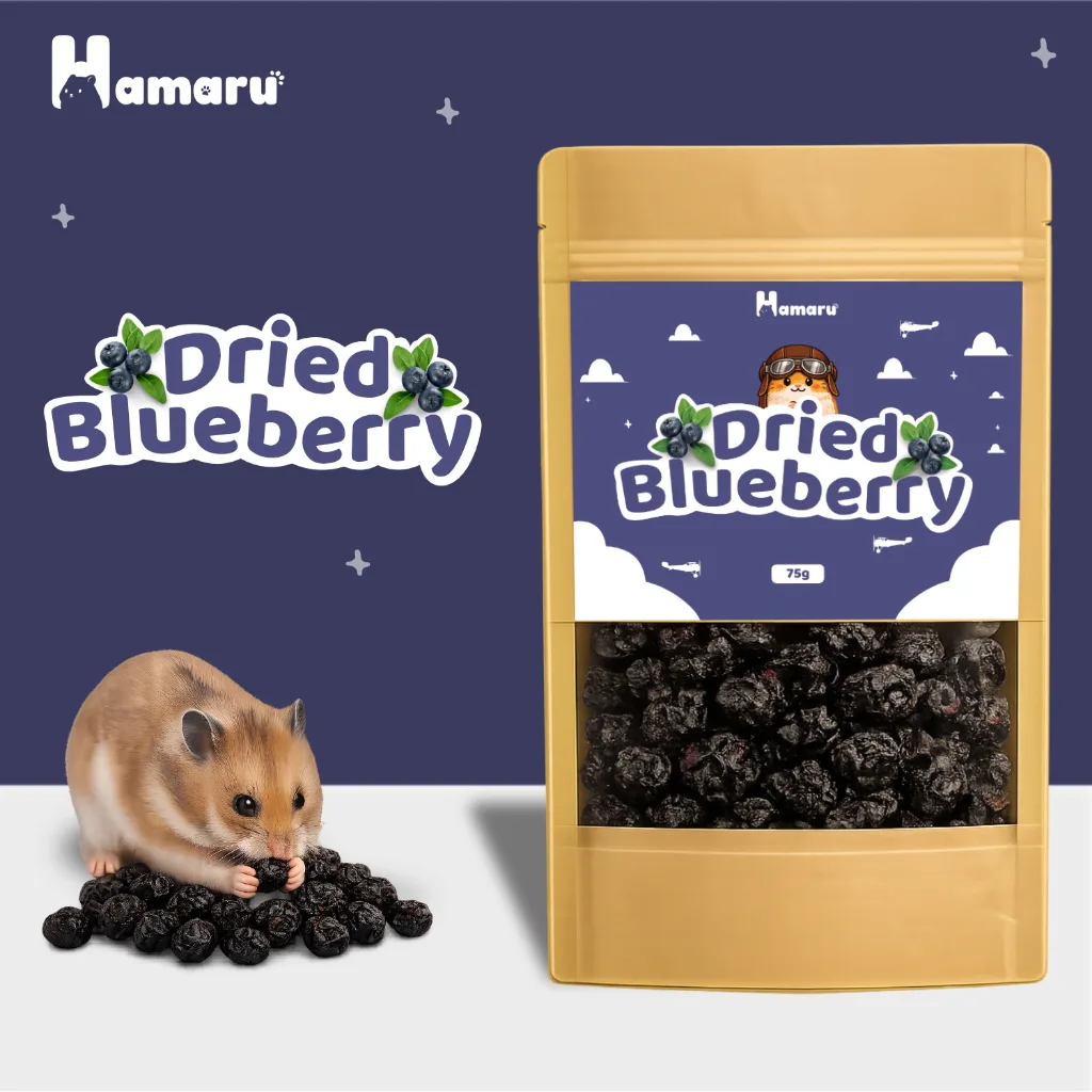Hamaru Dried Blueberry Kering Snack Camilan Natural Hamster Sugar Glider Alami Tanpa Pengawet - 75g