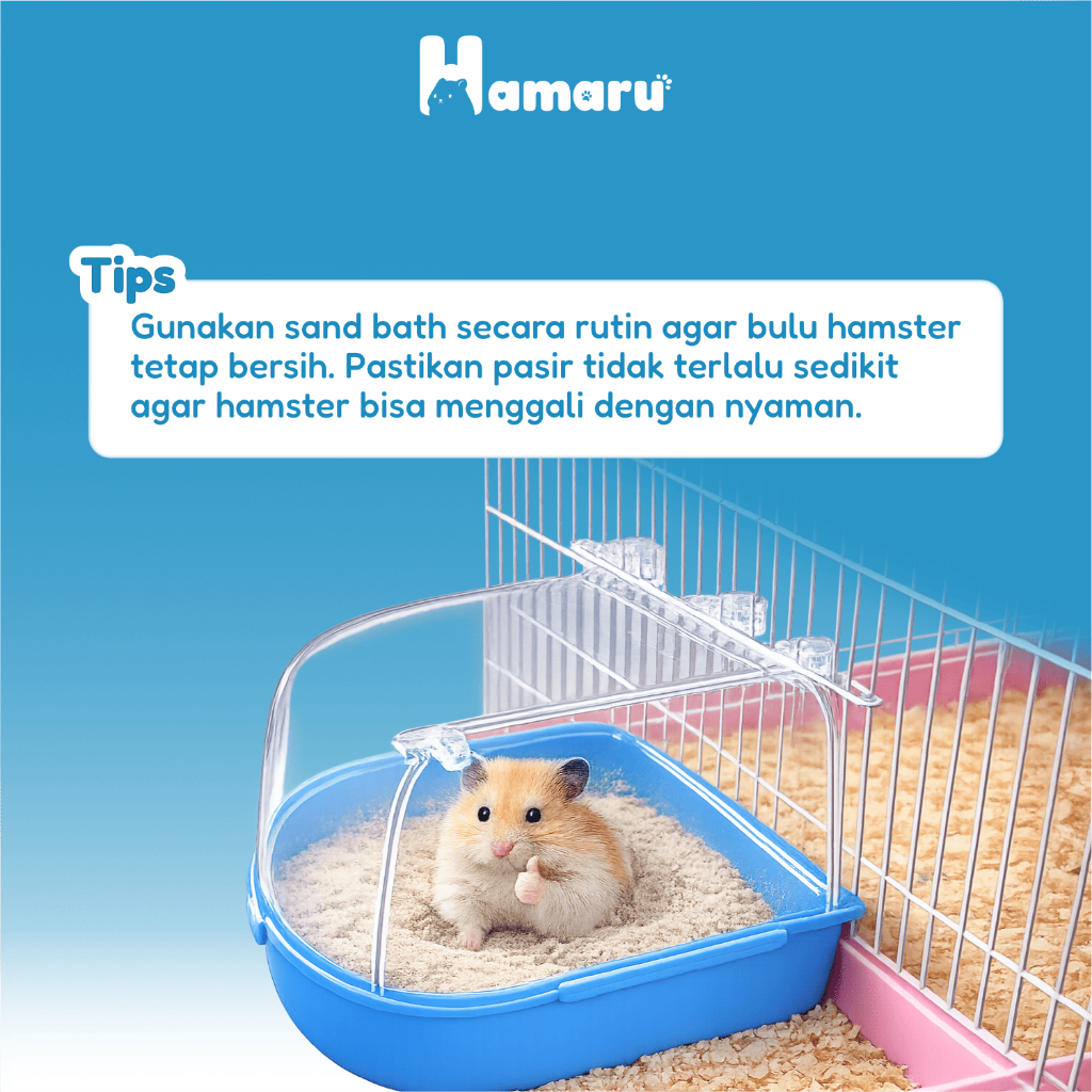 Hamaru Sandbath Big Room Tempat Mandi Pasir Hamster Besar Wadah Mandi Pasir Kandang Hewan kecil