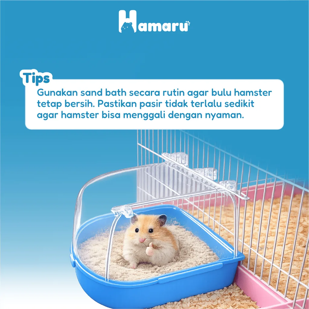 Hamaru Sandbath Big Room Tempat Mandi Pasir Hamster Besar Wadah Mandi Pasir Kandang Hewan kecil