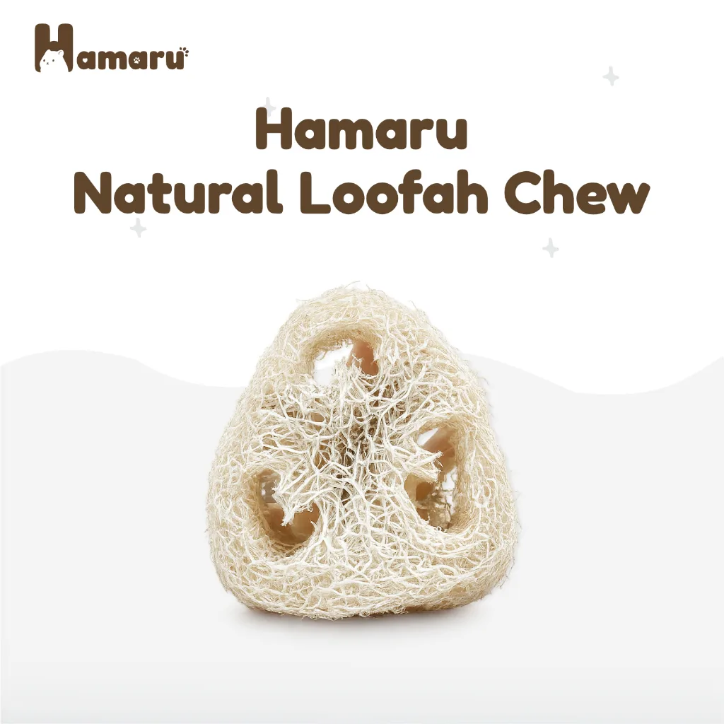 Hamaru Natural Loofah Chew Mainan Gigit Natural Hamster Hewan Kecil