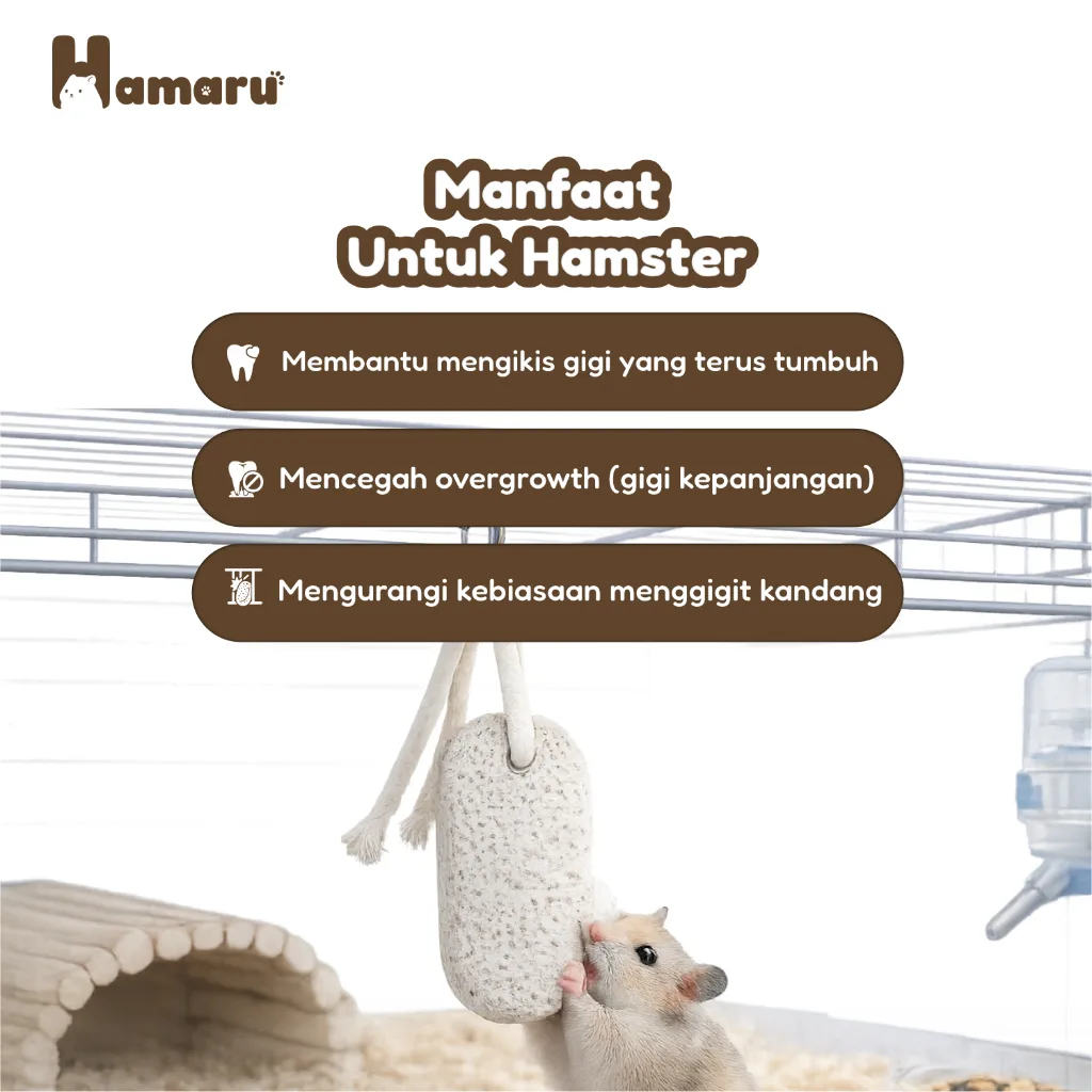 Hamaru Gnawing Stone Jumbo Batu Mineral Pengikis Gigi Hamster Mainan Gigitan Hamster Hewan Pengerat